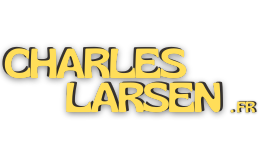 Charles Larsen : Expert en stratégie digitale & business en ligne